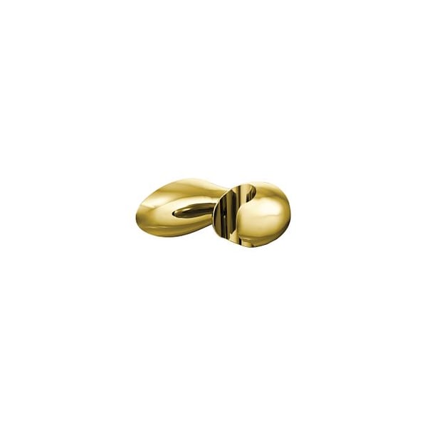 Polished Brass Handshower Bracket